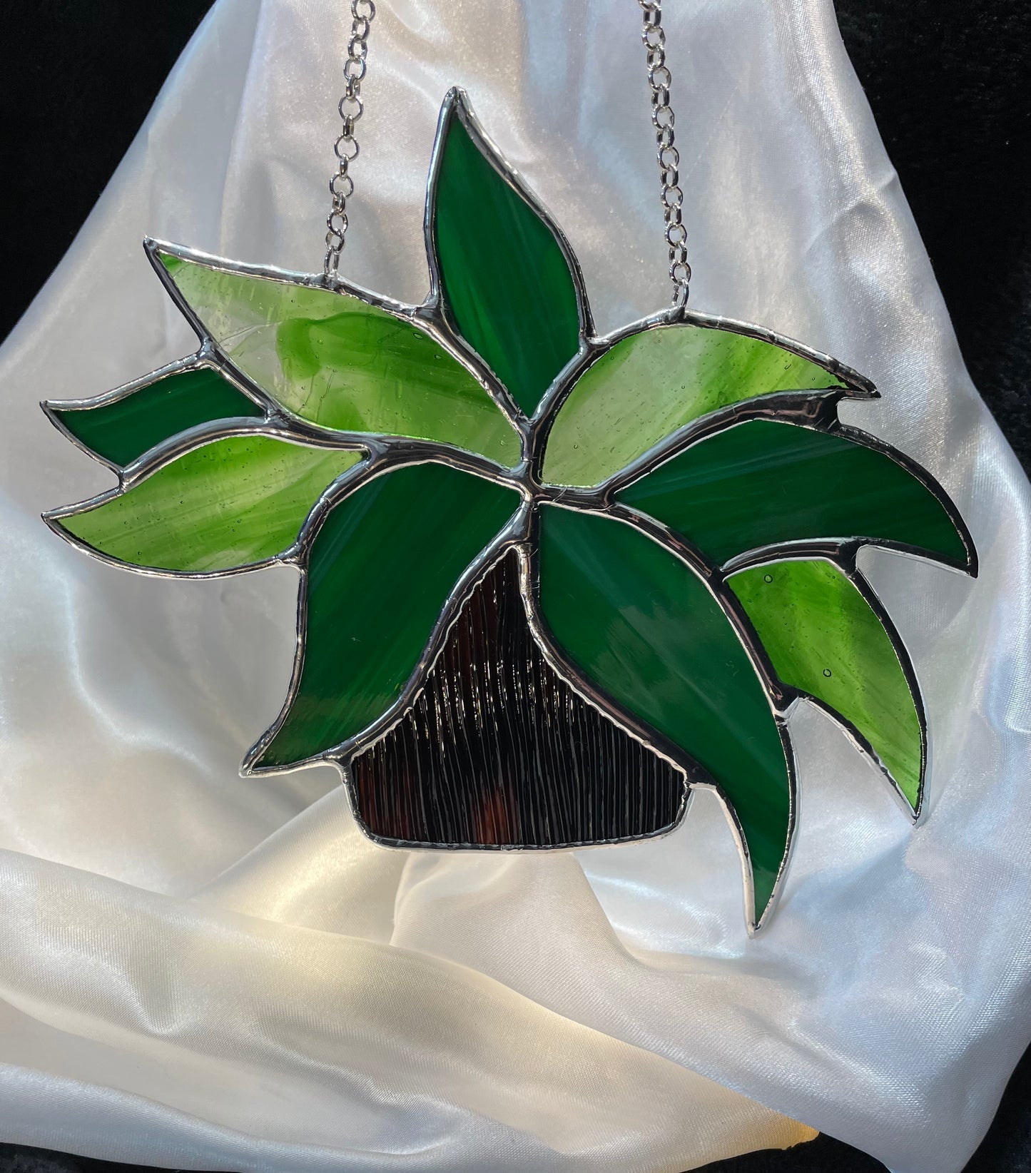 Plant