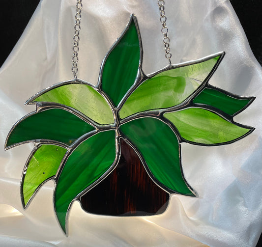 Plant