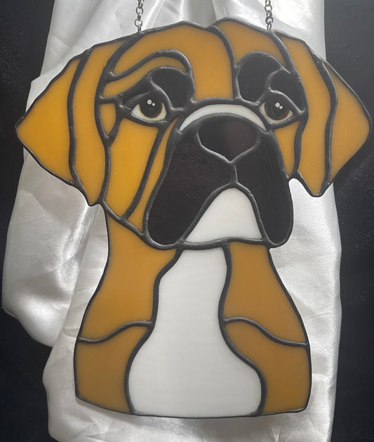 Boxer Dog